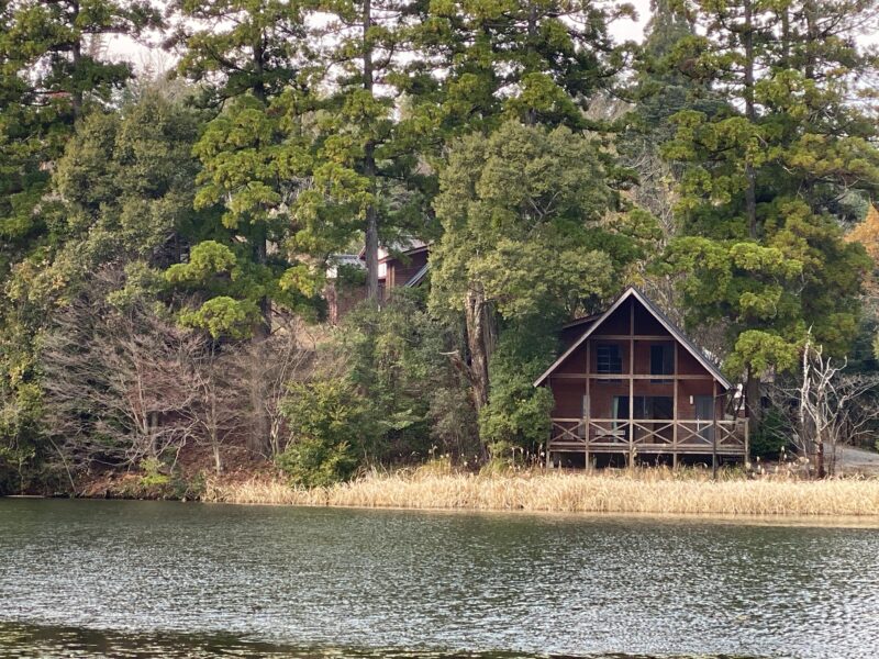 池の山キャンプ場