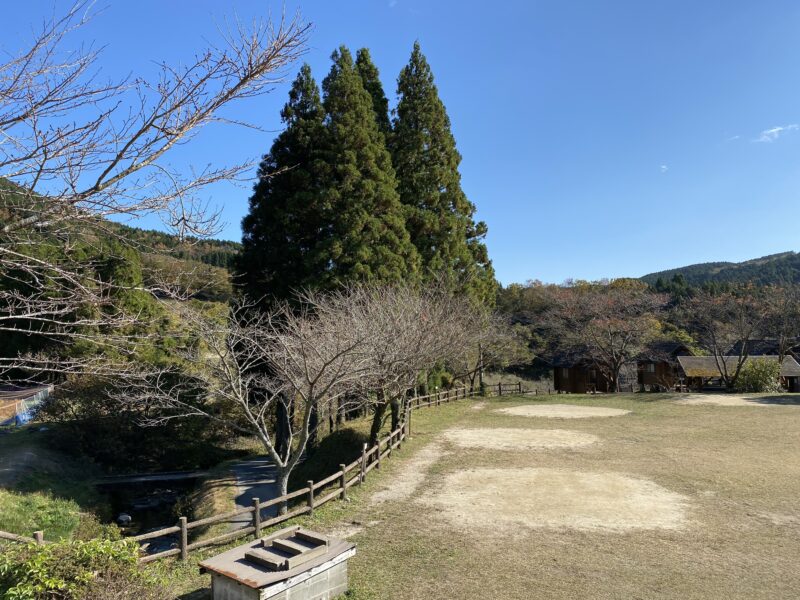 吉野山キャンプ