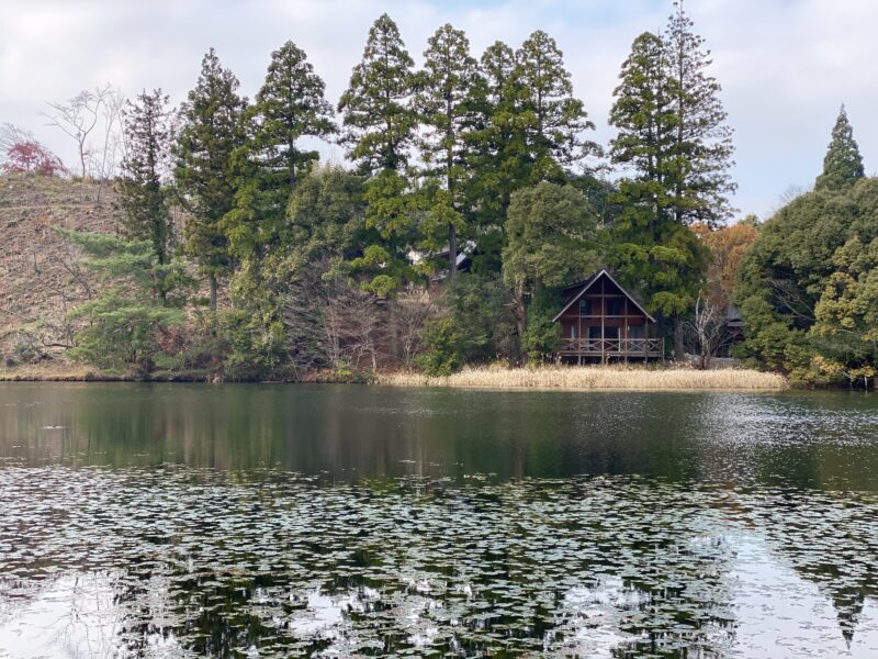 池の山キャンプ場